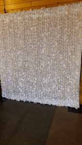 White Petal Backdrop