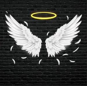 Angel wings